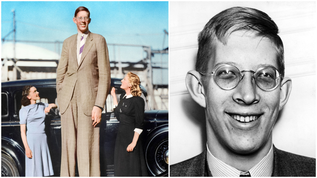 Robert Wadlow split image