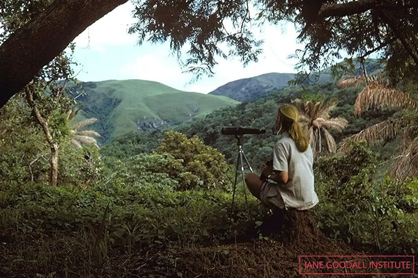 Jane Goodall with jungle
