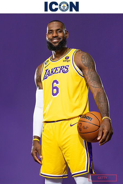 Lebron james icon