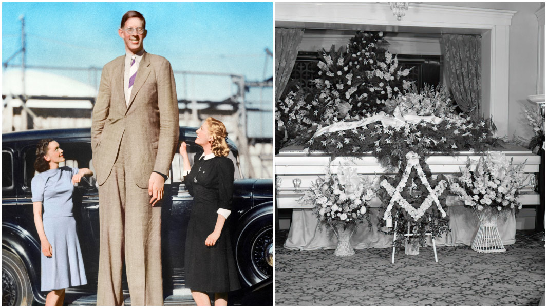 Robert Wadlow picture with colors
