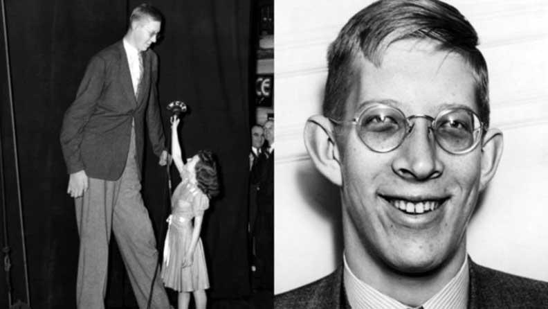 Tallest man split image