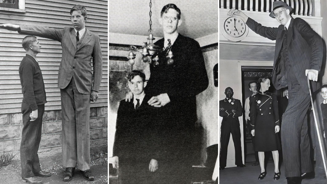 Split image of Robert Wadlow black and white