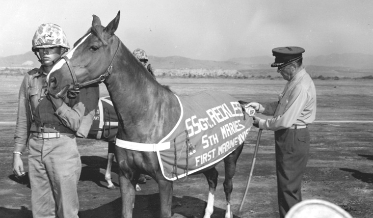 2 men with a horse