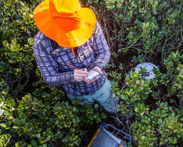 man writing notes in bushes