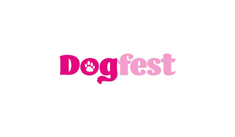 DogFest