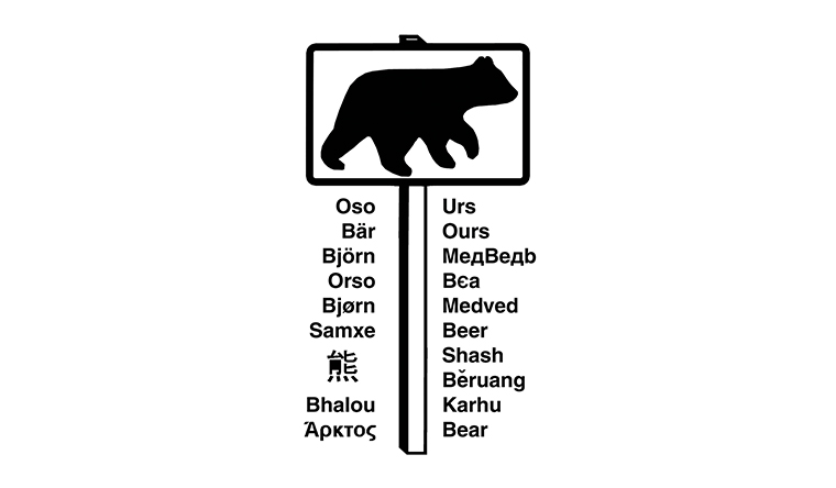 International Association for Bear Research and Management
