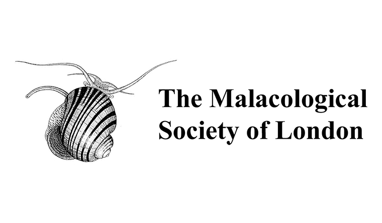 The Malacological Society of London logo