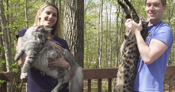 Tallest cat and longest tail ever