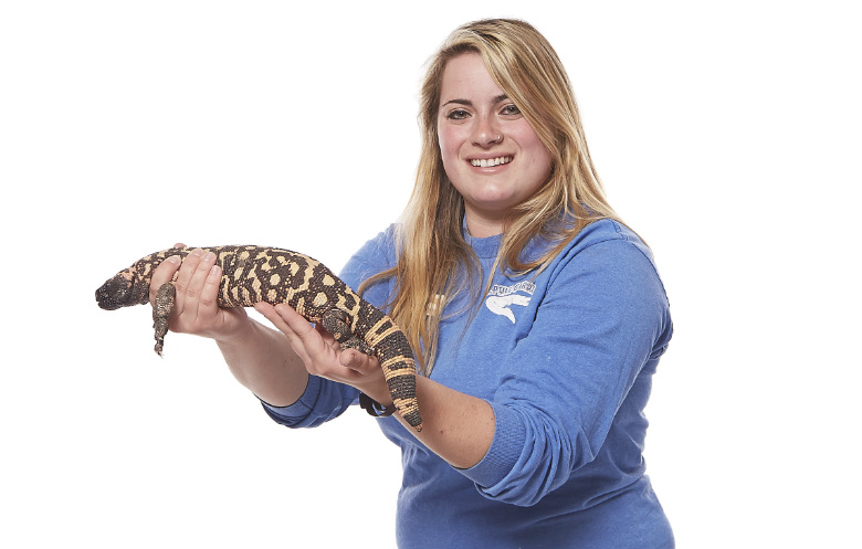 Most venomous lizard