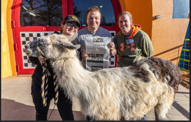 Oldest living llama in captivity